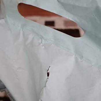 Penti Kargo Poşetlerinin Sürekli Deforme Olması