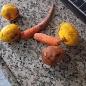 Bozuk Buzdolabı Mağduriyeti