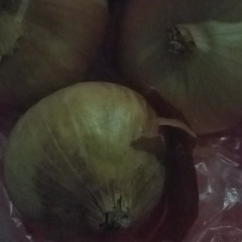 Çürük Ürünler Ve Kötü Alışveriş Deneyimi