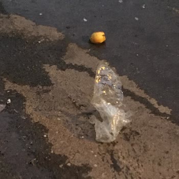 Mahalledeki Çöp Toplama Sorunları