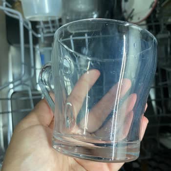 Beko Bulaşık Makinesi Temizlik Sorunu