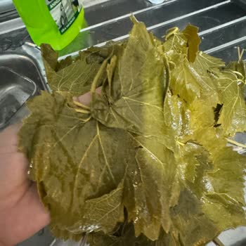 Instagram'da Gösterilen Ürünlerle Gerçekler Uyuşmuyor