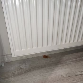 Termopan Petekler Su Damlatıyor!