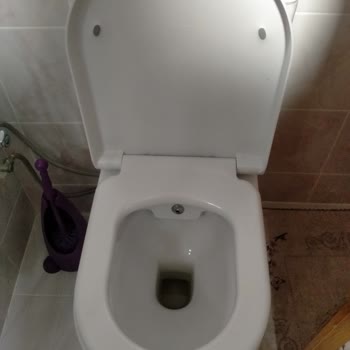 Hijyen Sorunu Yaratan Klozet Tasarımı