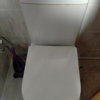 Hijyen Sorunu Yaratan Klozet Tasarımı