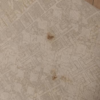 Halı Yıkama Hizmeti Lekeleri Gideremedi Ve Müşteri Memnuniyetsizliği Yarattı