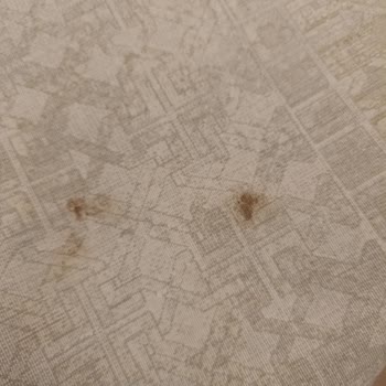 Halı Yıkama Hizmeti Lekeleri Gideremedi Ve Müşteri Memnuniyetsizliği Yarattı