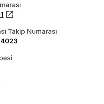 Sürat Kargo Kargom Neden Hala Ulaşmadı?