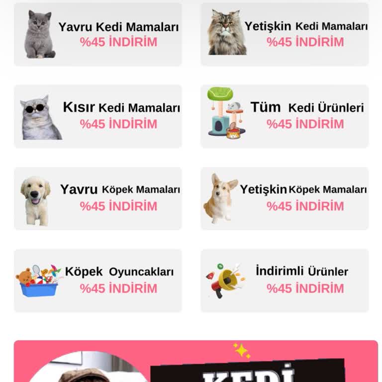 Kedi Maması Siparişim Neden Hala Gelmedi