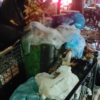 İzmit'te Çöp Sorunu: Acısu Parkı'nda Acil Müdahale Gerekiyor
