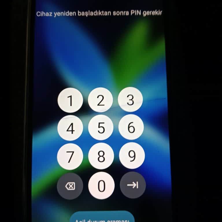 Omix Telefonun Sıfırlama Sonrası Pin Sorunu