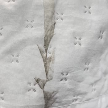 Lekeli Ürün Ve Güven Sorunu