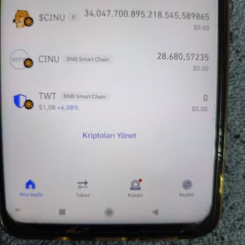 Trust Wallet Cheems Coin İşlemlerinde Karşılaşılan Sorunlar
