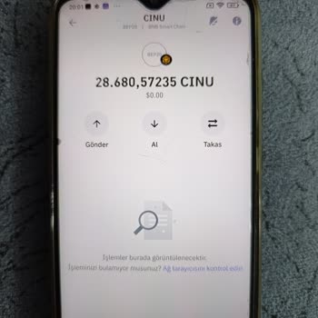 Trust Wallet Cheems Coin İşlemlerinde Karşılaşılan Sorunlar