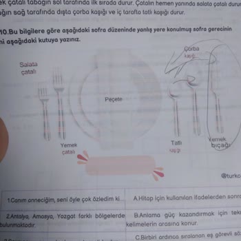 Epson L3256 Yazıcıda Çizgi Sorunu Ve Değişim Talebi