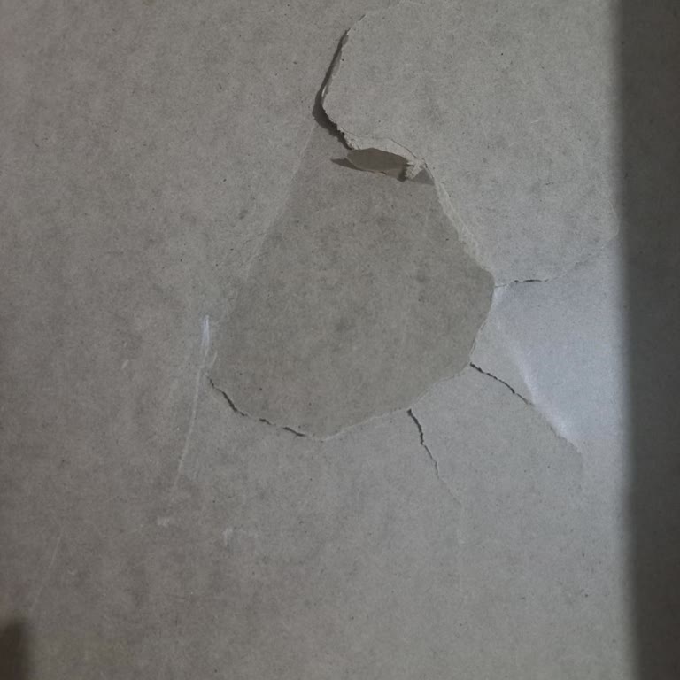 Kargo Şirketinin Ürünlere Zarar Vermesi Ve Müşteri Mağduriyeti