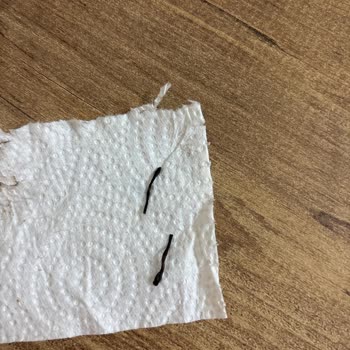 Nutella'dan Çıkan Plastik Parçalar: Sağlığım Tehlikede!
