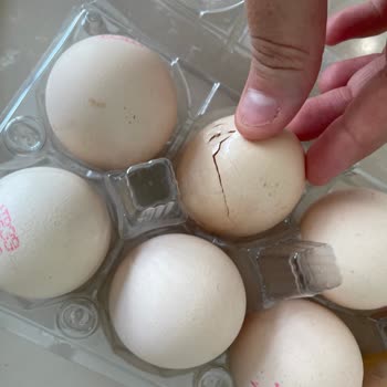 Yanıltıcı İletişim Ve Etik Dışı Davranışlar