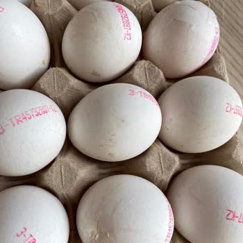 Yanıltıcı İletişim Ve Etik Dışı Davranışlar