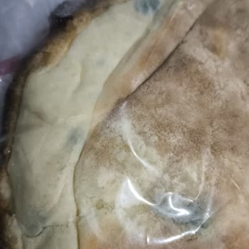 Küflü Bazlama Ekmeği Ve Yetersiz Müşteri Hizmeti