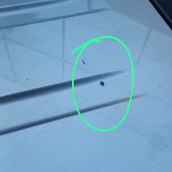 Ekspertiz Hatası Ve Mağduriyet