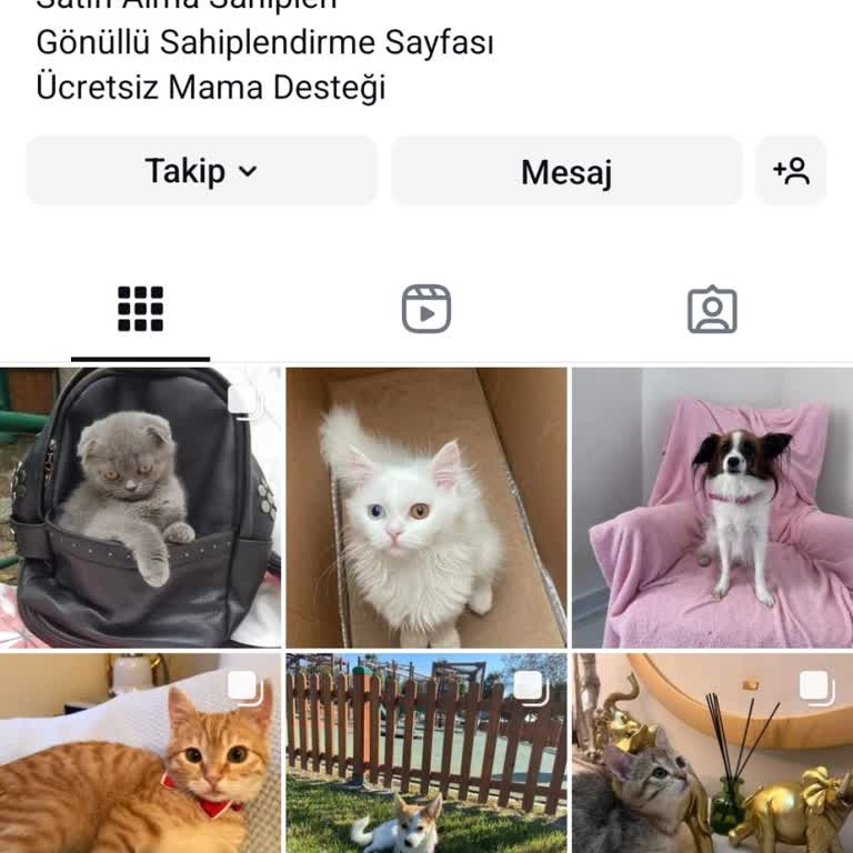 Mutlupatilerimm Ücretsiz Sahiplendirme Yanıltması