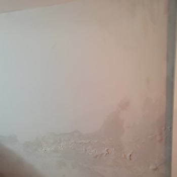 Alpiş İnşaat'tan Aldığım Dubleks Dairede Su Sızıntısı Ve Kalitesiz Yapı Sorunları