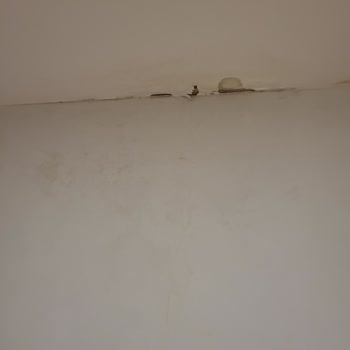 Alpiş İnşaat'tan Aldığım Dubleks Dairede Su Sızıntısı Ve Kalitesiz Yapı Sorunları