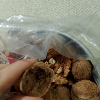 Halktan Kuruyemiş Kurtlu Cevizler: Paramız Boşa Gitti!