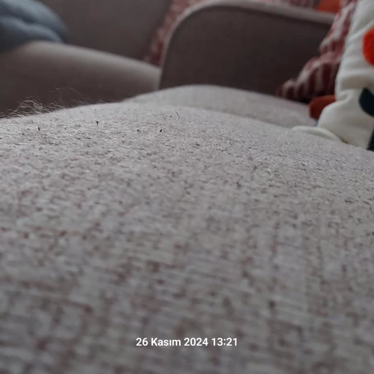 Koltuk Kumaşı Tüylenme Sorunu