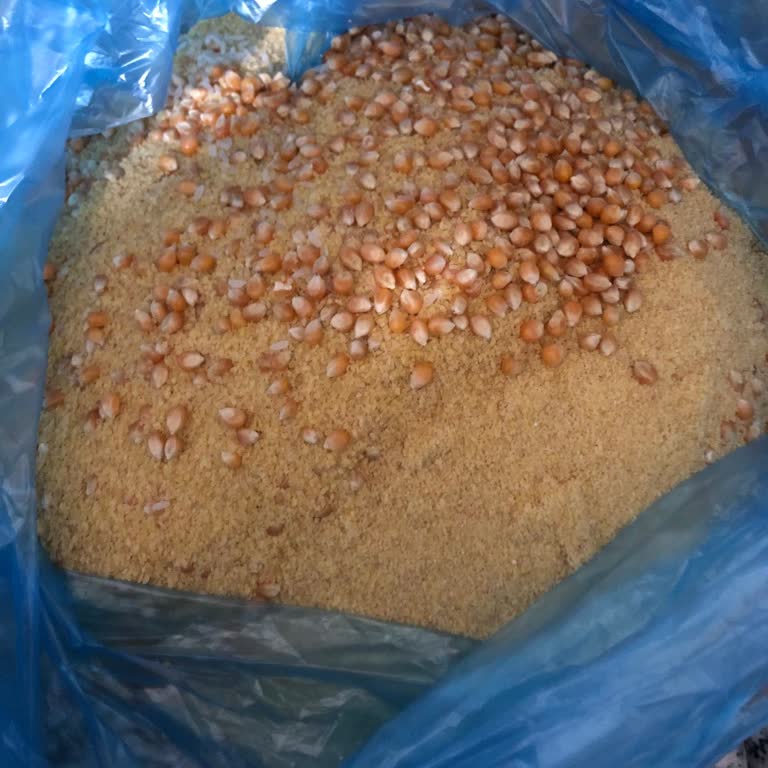 Bakliyatlarım Kurtlandı: 5 Bin Liram Çöp Oldu