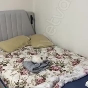 Taşpınar Alışveriş Merkezleri Mağduru!