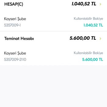 Kredi Kartı Teminatındaki Sorun Ve Kredi Puanı Engeli