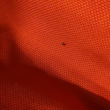 Kamil Koç Otobüslerinde Tekrarlayan Tahta Kurusu Sorunu