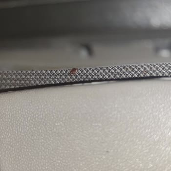 Kamil Koç Otobüslerinde Tekrarlayan Tahta Kurusu Sorunu