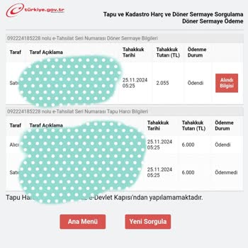 Tapu İşlemlerinde Ödeme Karışıklığı Ve Mağduriyet