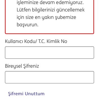 ING Mobil Bankacılık Çöküşü: Giriş Sorunları Ve Destek Eksikliği