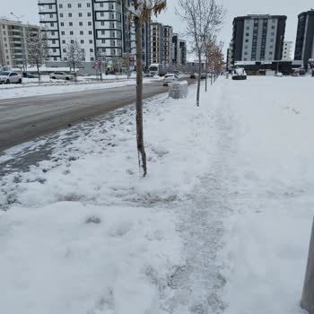 Erzurum Ulaşımında Kapalı Durak Eksikliği Ve Zamanlama Sorunları