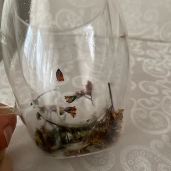 Kupa Dünyam Ürün İadesi Sorunu!