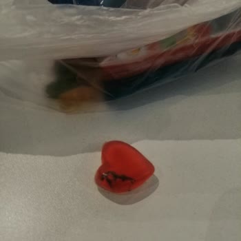 BİM'den Alınan Haribo Ürününde Böcek Şoku