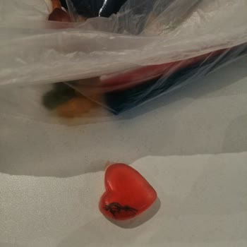 BİM'den Alınan Haribo Ürününde Böcek Şoku