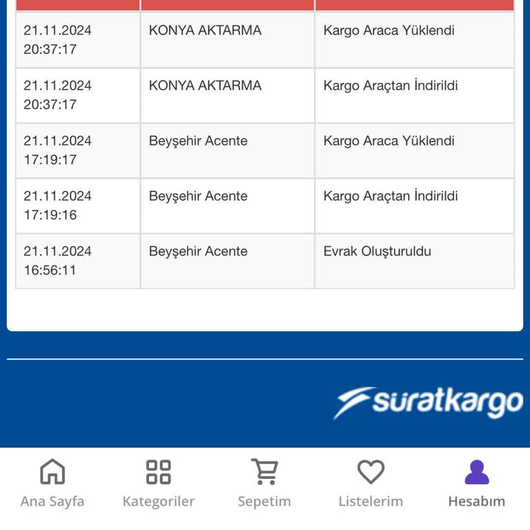 Kayıp Kargo: Sürat Kargo'nun Teslimat Sorunu