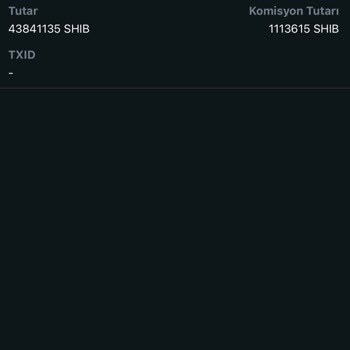 Kripto Transferinde Yaşanan Sorun Ve Destek Eksikliği
