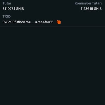 Kripto Transferinde Yaşanan Sorun Ve Destek Eksikliği