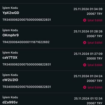 Kripto Transferinde Yaşanan Sorun Ve Destek Eksikliği