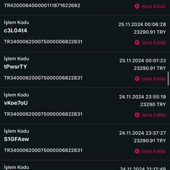 Kripto Transferinde Yaşanan Sorun Ve Destek Eksikliği