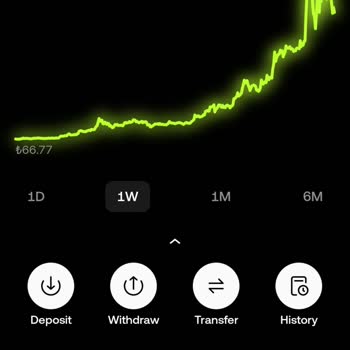 Unable to Transfer or Withdraw Coins Showing in My OKX Account
