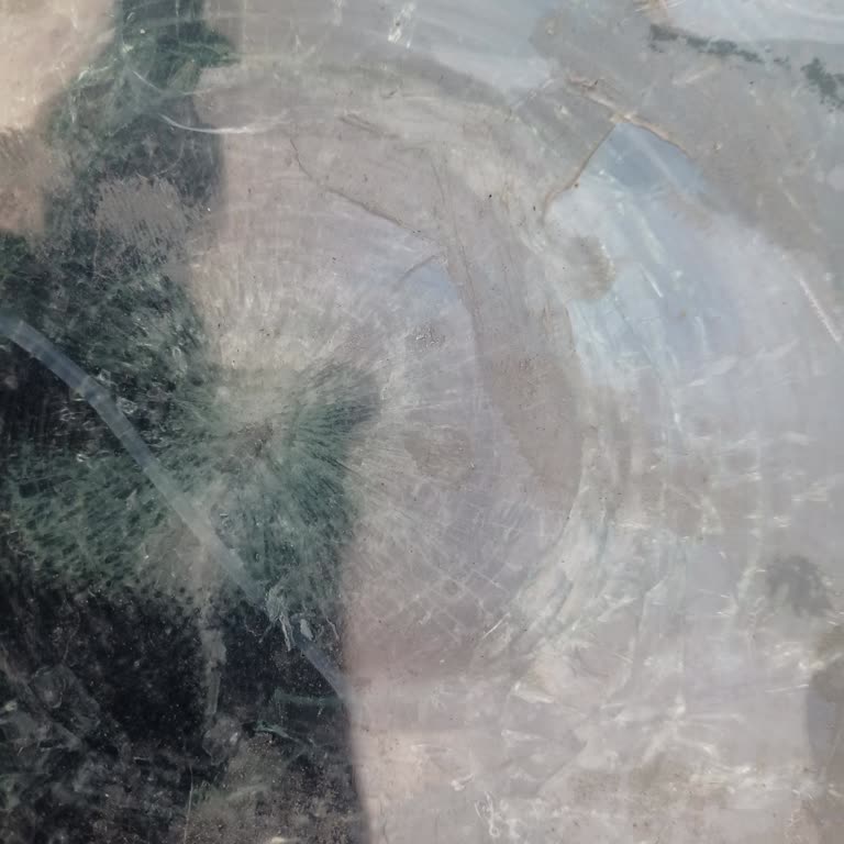 Renault Clio: Satış Sonrası Hizmetlerde Hayal Kırıklığı