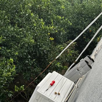 Sıfır Klima Sorunları Ve Değişim Talebi