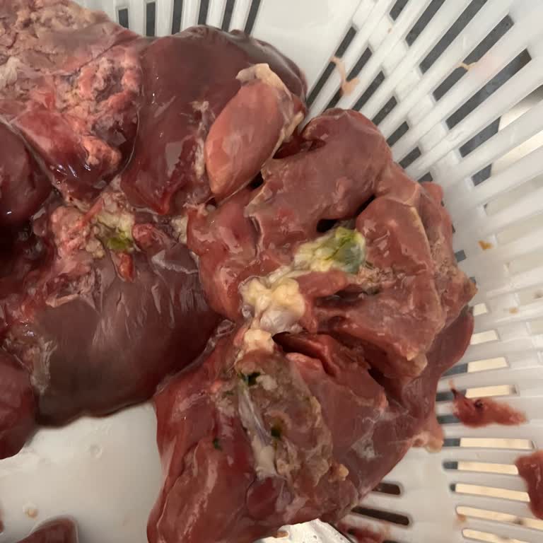 Köpek Maması Kalitesi: Sağlık Tehlikesi Ve Müşteri Memnuniyetsizliği